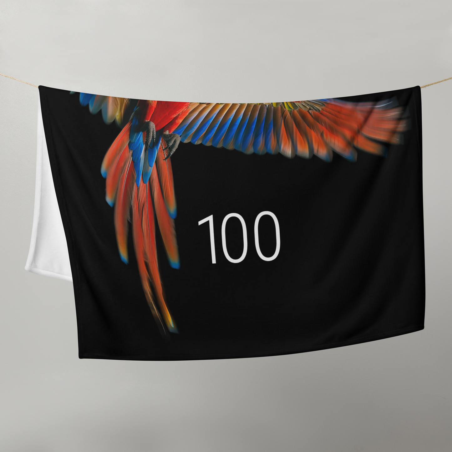 Glasurit – Throw Blanket 100